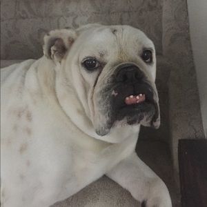 Meet your Posher, Sandra